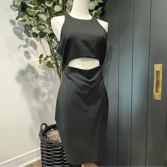 elizabeth james black dress Elizabeth James The Label Reese Dress main image 0